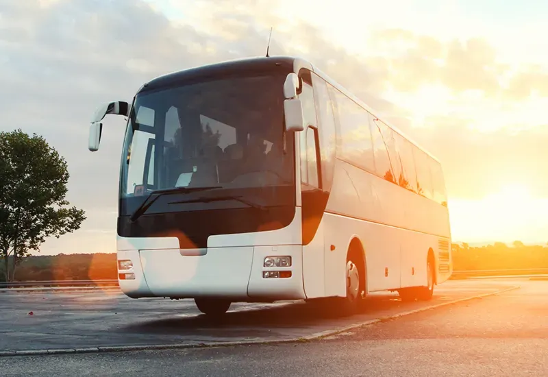 Luxury Charter Buses